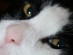 View full size picture