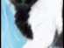 View full size picture