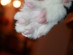 View full size picture