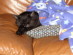 View full size picture