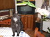 View full size picture