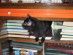 View full size picture