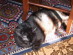 View full size picture