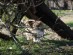 View full size picture