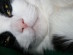 View full size picture