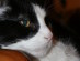 View full size picture