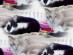 View full size picture