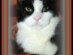 View full size picture