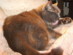 View full size picture