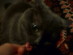 View full size picture