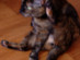 View full size picture