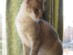 View full size picture
