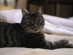View full size picture