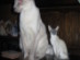 View full size picture