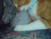 View full size picture