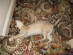 View full size picture