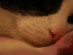 View full size picture