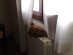 View full size picture