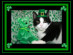 View full size picture