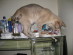 View full size picture