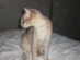 View full size picture