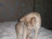 View full size picture