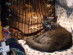 View full size picture