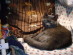 View full size picture