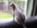 View full size picture