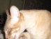 View full size picture