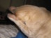 View full size picture