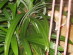 View full size picture