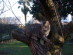 View full size picture