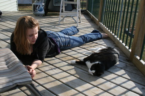 Picture of a cat / kitten / feline