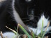 View full size picture