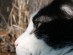 View full size picture