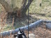 View full size picture