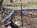 View full size picture