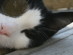 View full size picture