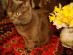 View full size picture