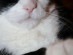 View full size picture
