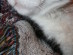 View full size picture
