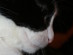 View full size picture