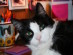 View full size picture
