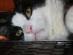 View full size picture