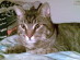 View full size picture