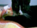 View full size picture