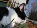 View full size picture
