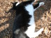View full size picture