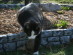 View full size picture